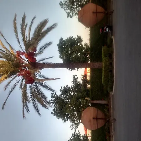 Fuente Piedras قبرة